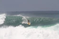 Surf Discount Store -Surf Discount Store IMG 1860